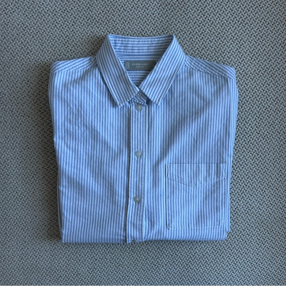 Everlane Blue Striped Button Down Shirt